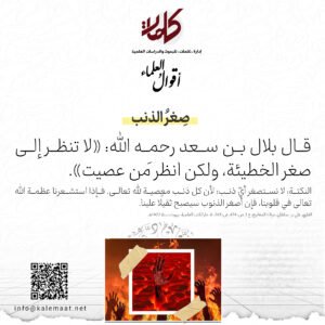 أقوالُ العلماء | صِغرُ الذنب